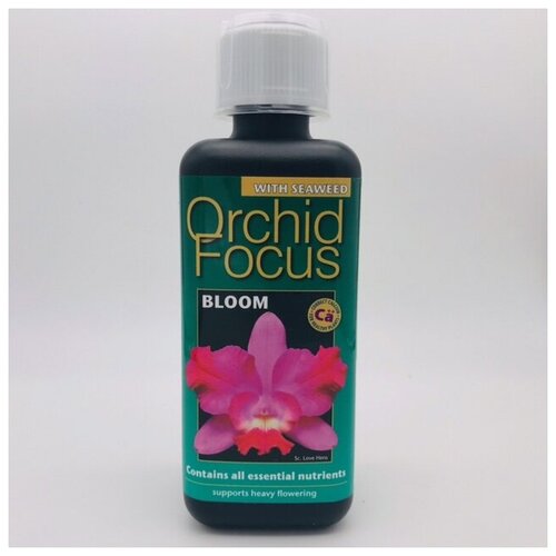    Orchid Focus Bloom  300,  1450