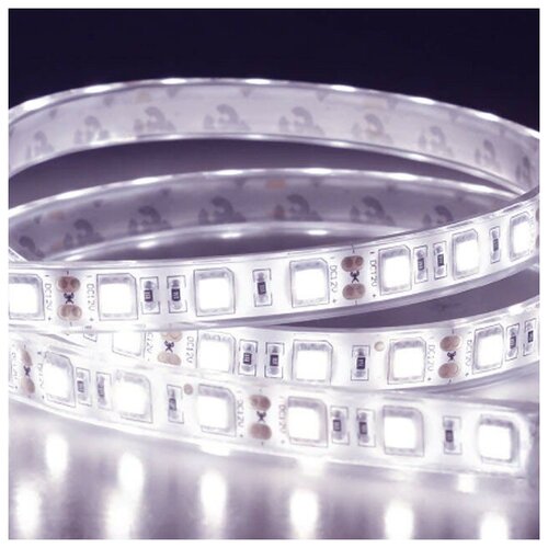 ������������ ����� SMD5050-60LED-IP68-12V Double line 5�. - ���� ��������:����� 5500-6000K, ���� 3800�