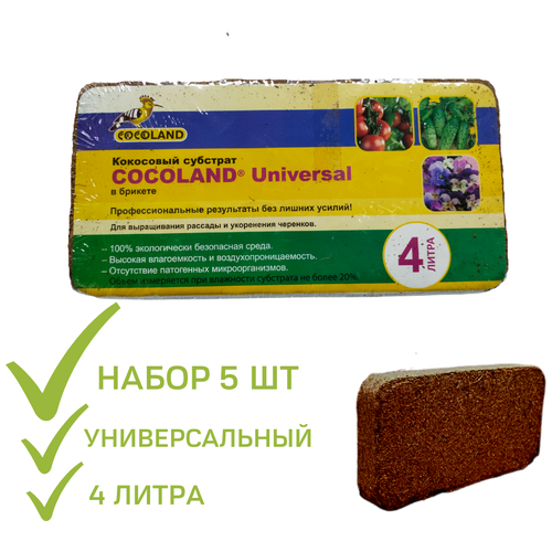     Cocoland Universal  5  ( ) 4 ,  900