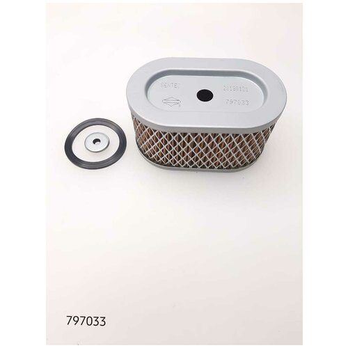 ������ ��������� Briggs&Stratton (797033) �918, ���� 2370�