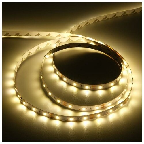 Ecola   Ecola PRO, 12, SMD2835, 5 , IP20, 8/, 60 LED/, 2800,  433