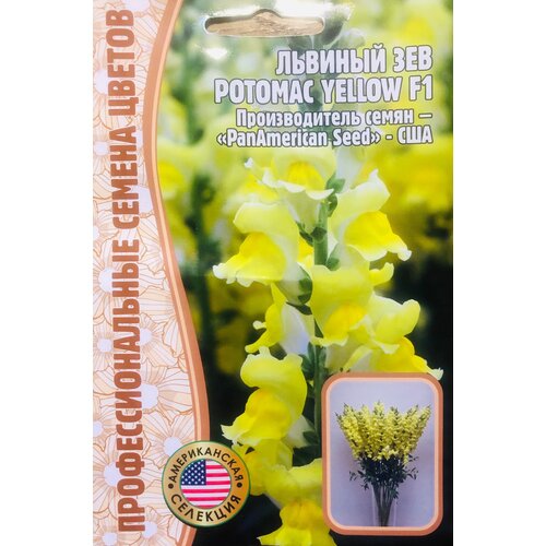    () (Antirrhinum majus Potomac) Potomac Yellow F1 (5 ),  208
