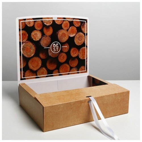 ������� �������� ������������� ���������, 31 ? 24,5 ? 9 ��, ���� 263�
