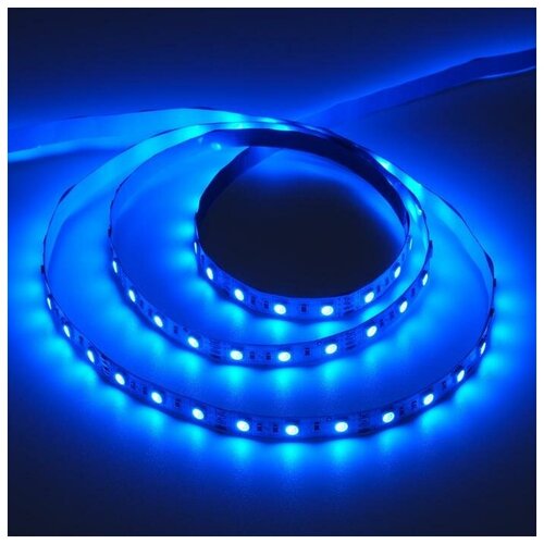   Ecola PRO 5 , IP20, SMD5050, 60 LED/, 14.4 /, 12 , 4200,  734