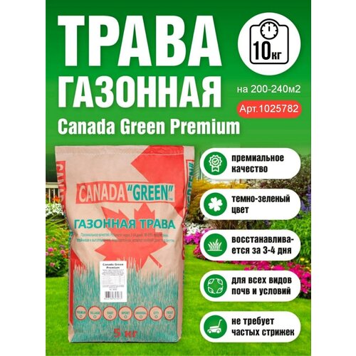 Газонная трава семена 10 кг, газон Премиум, Канада Грин семена газона, цена 3976р