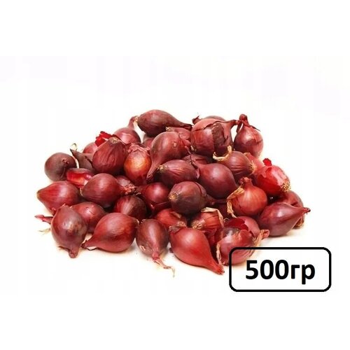 Семена лук-севок Ред Барон 0.5 кг, цена 299р