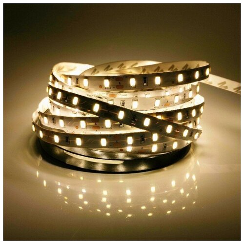   SMD 5360, 60 /, , 12 , : , IP33 5. -  :  3000-3500K,  1900