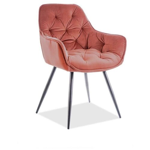 ���� �������� Signal CHERRY MATT VELVET (�����-�����/������), ���� 22709�