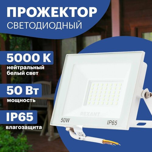      LED REXANT 50 ,  606