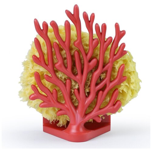 ��������� ��� ������� Qualy Coral Sponge, �������, ���� 1280�
