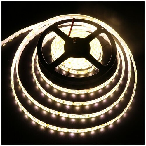  : SMD5050-60LED-IP65-24 5. -  :  3000-3500K,  2900