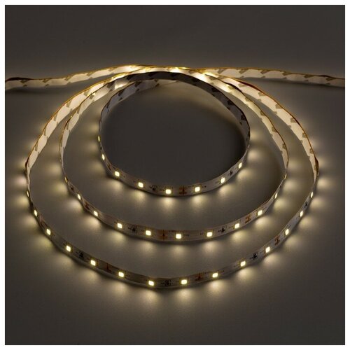   Ecola STD 5 , IP20, SMD3528, 60 LED/, 4.8 /, 12 , 2800,  318