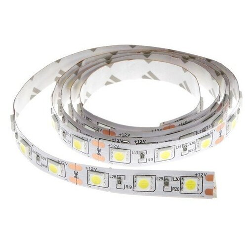   Ecola 1 , IP20, SMD5050, 60 LED/, 14.4 /, 12 , 6000,  332