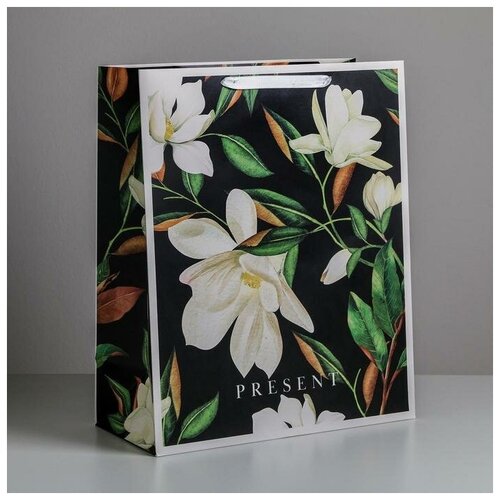 ����� �������������� ������������ �Present�, XL 49 ? 40 ? 19 ��, ���� 566�