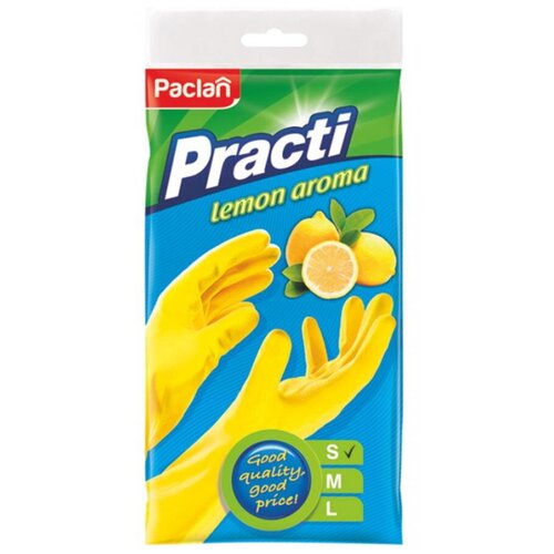  PACLAN PRACTI     ,  S , 1 ,  251 Paclan