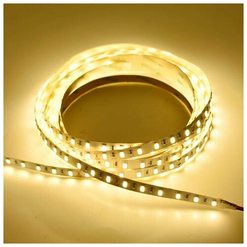  : 5630-60LED-IP33-24V High Lum -  :  3000-3500K,  2500