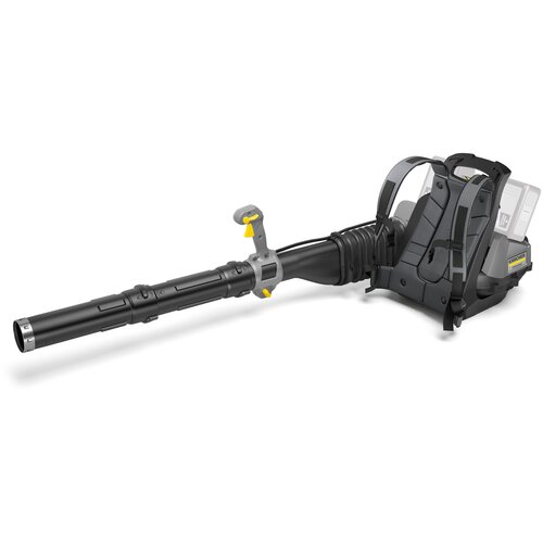    Karcher LB 1060/36 Bp,  55990