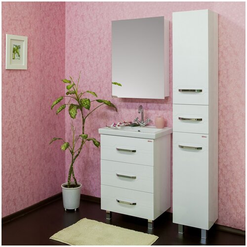 ������ ��� ������ Sanflor ������ 60 (����� � ��������� + �������), ���� 30921�