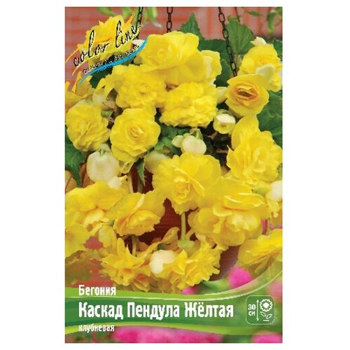 Бегония Cascade Pendula Yellow (1 шт.), цена 248р