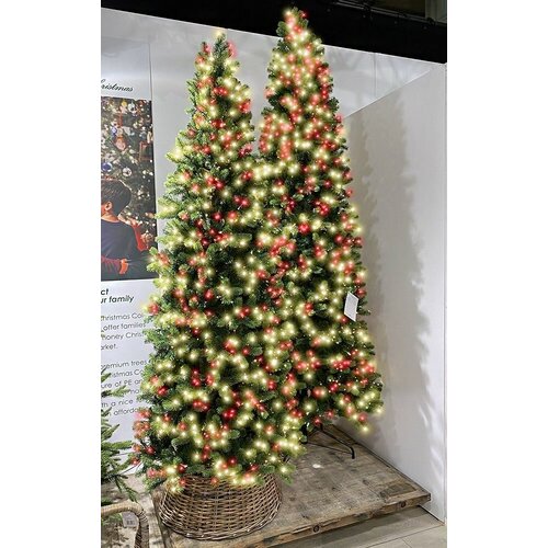     (  PE+PVC), , 2550 /  LED-, 2.74 , A Perfect Christmas 31GEOR274DL,  59915