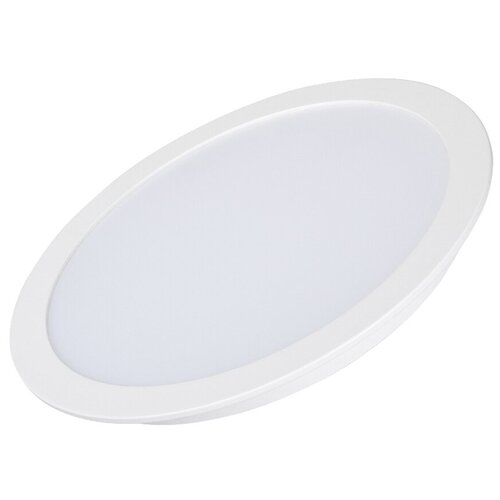  DL-BL225-24W Day White (arlight, IP40 , 3 ),  4413