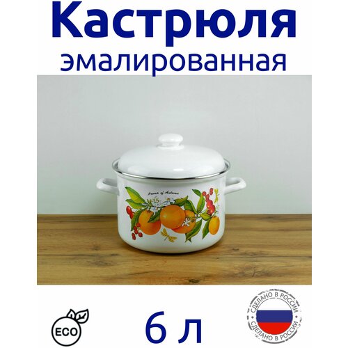 �������� ������������� 6 � ,����� � ��������, ���� 1555�