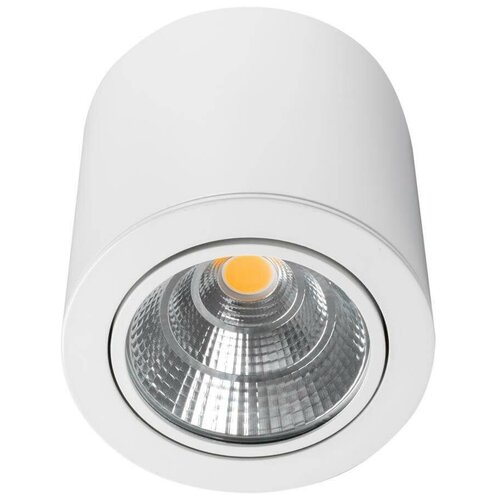   Arlight SP-FOCUS-R140-30W Day White 021428,  6925