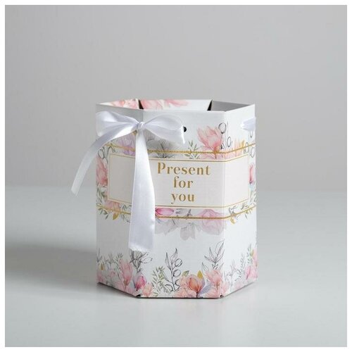 ��������� �������� ������������ �Present for you�, 17 ? 14,8 ? 19,5 ��, ���� 238�