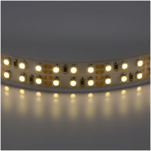   400022 LED 12V 19,2W 3528    Lightstar,  262 Lightstar