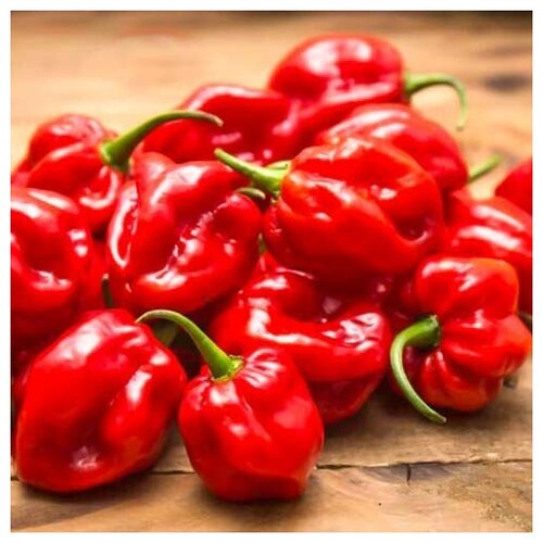     (. Capsicum Chinense)  10,  460