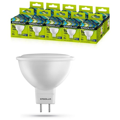   10   Ergolux LED 9W 6500 GU5.3,  1019