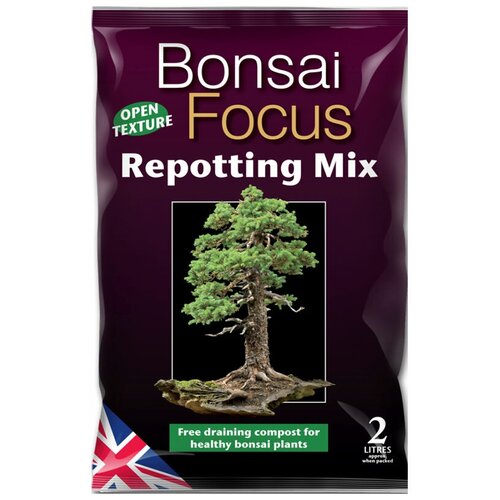  Bonsai Focus Mix 2 ,  1250