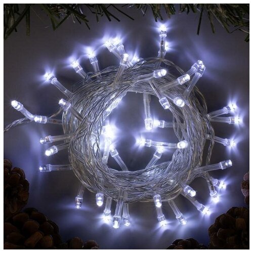   5 , IP20,  , 50 LED,  , 8 , 220 ,  453