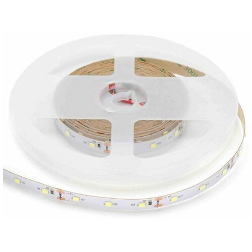    00-55-1   12,      6500K,     900 / / 60/ / 9.6/ / smd2835 / IP20 /   5 ,  856