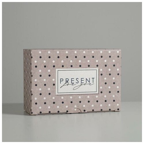 ������ ������� ������� ������� Present, 22 ? 15 ? 10 ��, ���� 168�