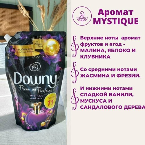     MYSTIQUE  DOWNY, 1000,  1796