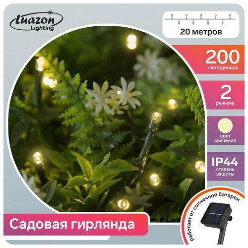   20 ,  , 200 LED,   , 2 ,  ,  1280