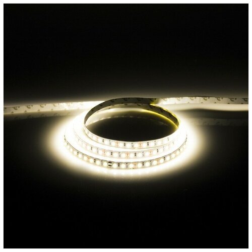   TruEnergy, 12, Smd2835, 5 , Ip20, 9.6 /, 120 LED/, 6000K TruEnergy 9803200,  823