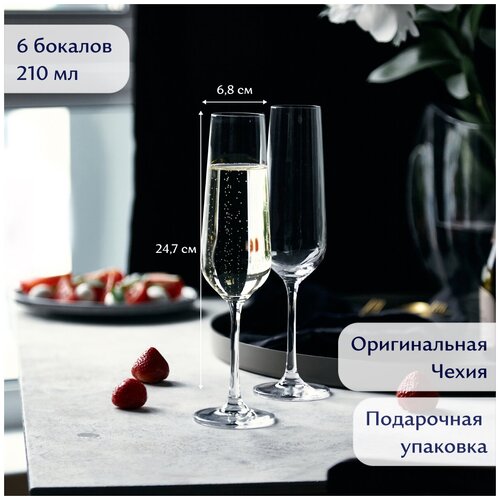 ������ ��� ����������� 6 �� 210 ��, ����, Queen of Bohemia, ���� 2010�