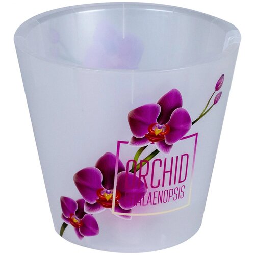    INGREEN London Orchid Deco 1,6 , 160 , ,  257