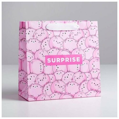 ����� �������������� ���������� Surprise, 22 � 22 � 11 ��, ���� 329�