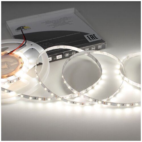    SMD 2835, 60 /, , 12 , IP33.  5 .  :  .,  1900 Clever-light