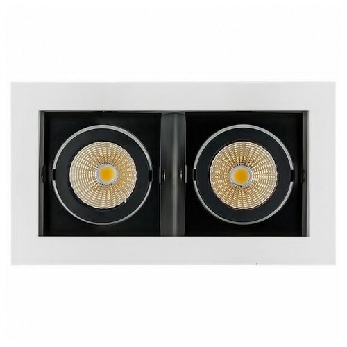  CL-KARDAN-S180x102-2x9W Day (WH-BK, 38 deg) (Arlight, IP20 , 3 ),  6890