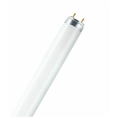   OSRAM L 36 W/840-1,  1002