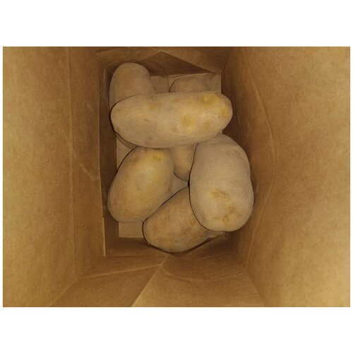 Картофель семенной сынок клубни 1 шт, цена 180р