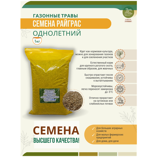 Семена райграса однолетнего - 1 кг Мосагрогрупп, цена 420р