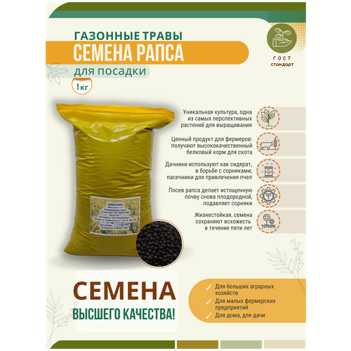 Семена Рапса - 1 кг Мосагрогрупп, цена 320р