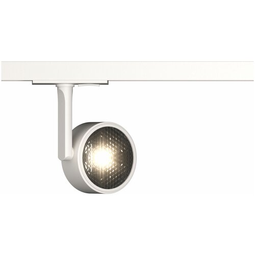 Maytoni    Maytoni Track lamps TR024-1-10W3K,  3303