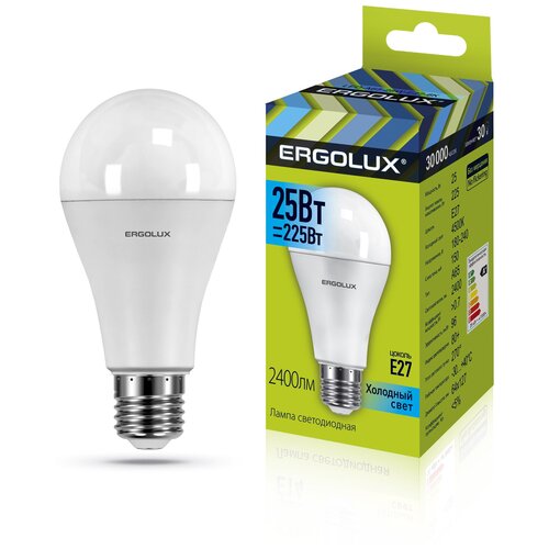    Ergolux LED-A65-25W-E27-4K,  297 Ergolux