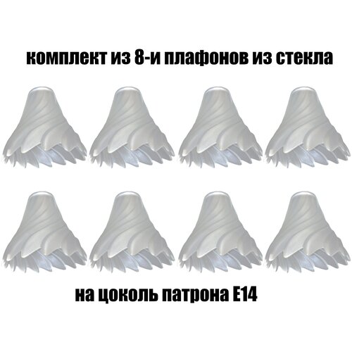 �������� �������� 8 �� �����, �14, ���� 2550�